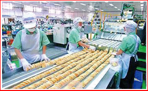 食品級(jí)輸送機(jī)各部件安裝技術(shù)解析
