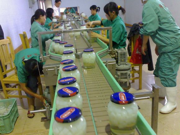 鏈板輸送機(jī)的優(yōu)點及發(fā)展趨勢分析